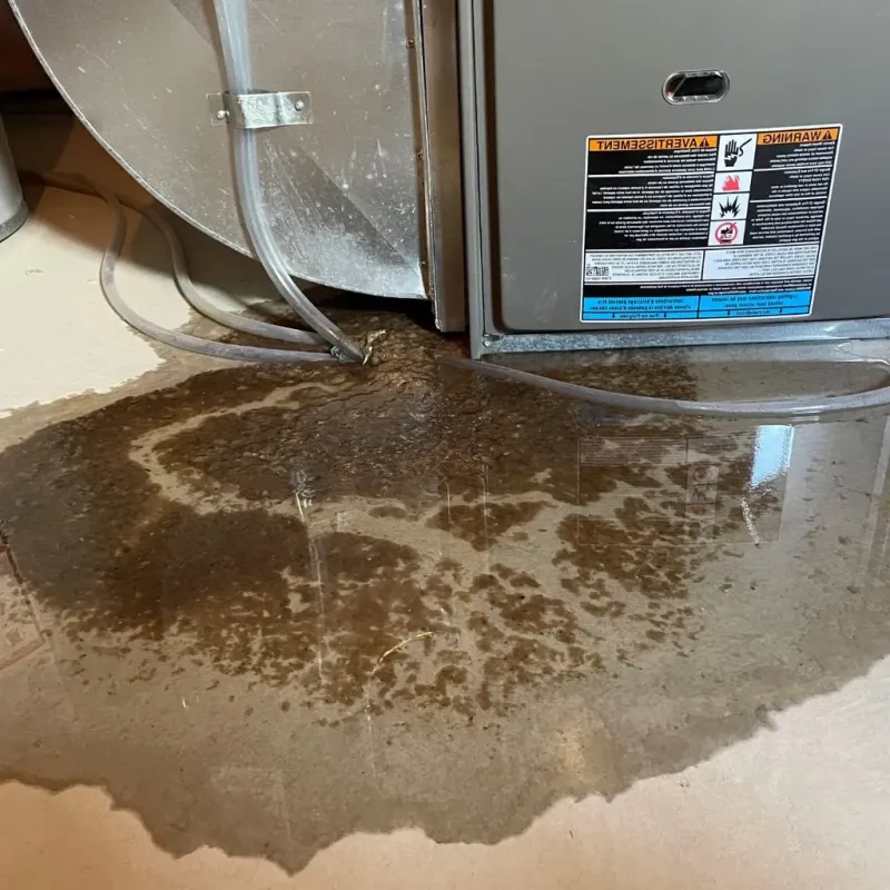 Pipe Burst and Leak Restoration in Santa Ynez, CA